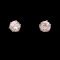 Certificated Diamond Stud Earrings - image 1