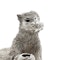 Mario Buccellati's 925 silver figurine of a squirrel - image 7