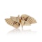 Tiffany & Co. Retro double - clip brooch - image 1