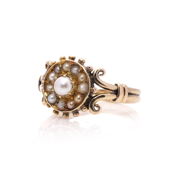 Victorian 15kt Gold Pearl Cluster Ring - image 6