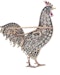 Old Cut Diamond 'Cockerel' Novelty Brooch - image 2