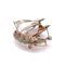 18kt Yellow Gold Sailing Ship Brooch with Rubies. - image 6