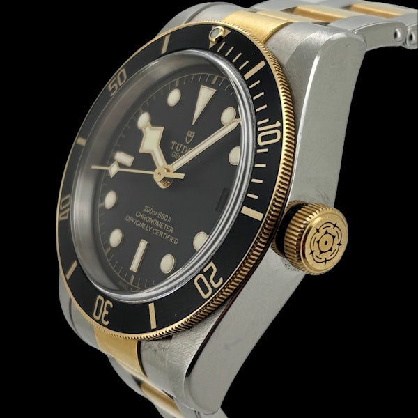 TUDOR BLACK BAY HERITAGE 79733N-0008 FULL SET 2019 - image 2