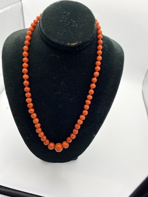 Red coral  beads necklace with gold clasp