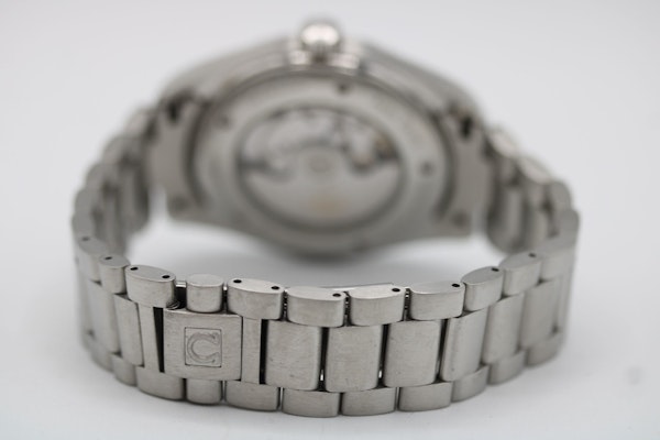 Omega Seamaster Aqua Terra 2502.33.00 - image 6