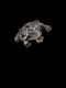 Antique diamond frog brooch SKU: 8238 DBGEMS - image 4