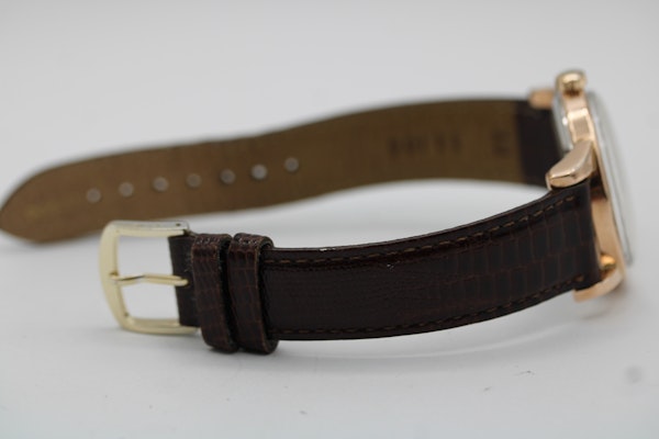 Omega Bumper 2494-2 - image 11