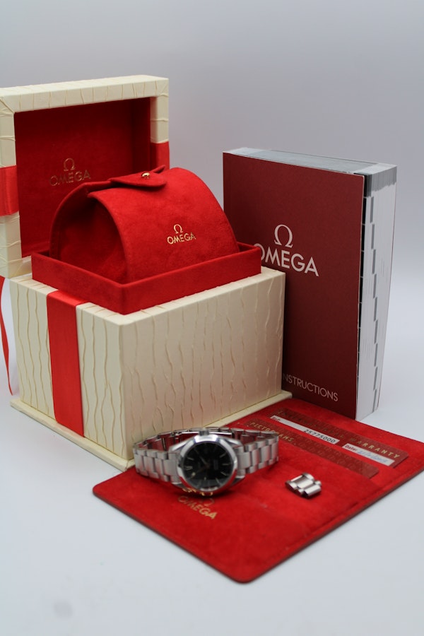 Omega Seamaster 25775000 - image 2