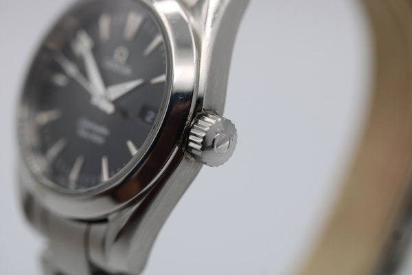 Omega Seamaster 25775000 - image 6