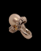 South Sea Pearl and Diamond Ring - image 4