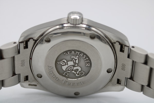 Omega Seamaster Aqua Terra 2518.80.00 - image 10