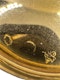18th century French gold 18ct snuff box. - image 7