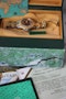 Rolex Yachtmaster 68623 - image 6