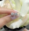 18k gold pair of 0.50ct. natural diamond stud earrings - image 2