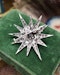 Downstairs at Grays: A fine Victorian 6.00 Carat (approximately), Diamond Star Brooch Pendant. English. Circa 1890. - image 6