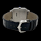 CARTIER SANTOS DUMONT WSSA0022 FULL SET 2025 - image 5