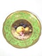Signed Coalport plates - image 4
