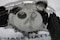 Oris Flight Timer Limited Edition R4118 - image 6