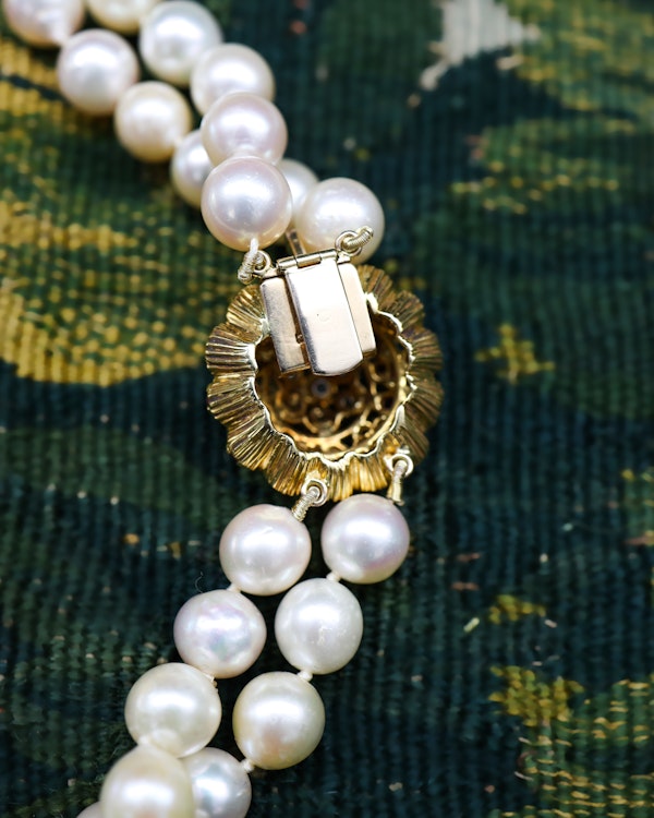 A very fine 18ct Yellow Gold  "Kutchinsky"(Signed), Double Stranded Akoya , Cultured Pearl Necklace, with a Clasp, set throughout with Burma Untreated Rubies & Diamonds. English. Circa 1950 - image 5
