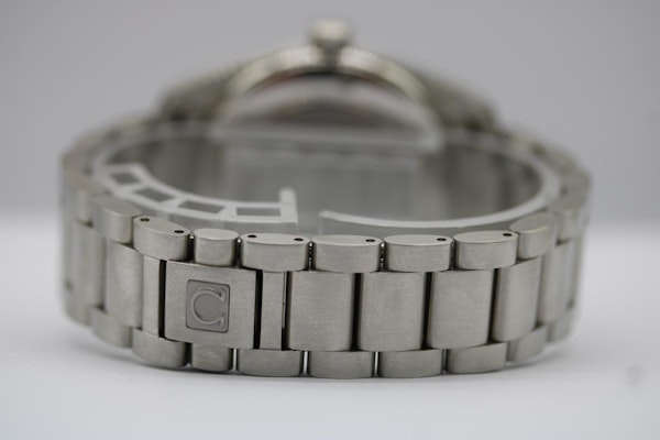 Omega Seamasta Aqua Terra 2518.30.00 - image 10