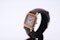 Cartier Santons Dumont, c.1970s - image 3