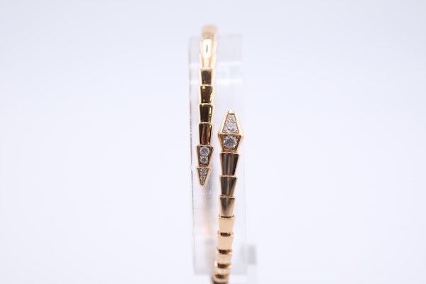 Bulgari Serpenti Viper, L Size - image 4