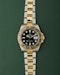 Rolex GMT-Master II Ref.116713 Two-Tone 2007 Full Set Serviced - image 1