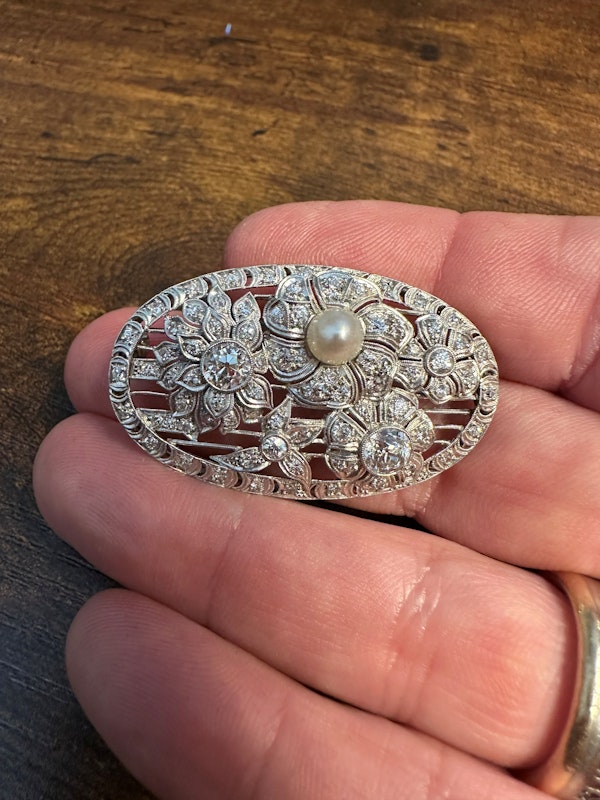 Edwardian Elegance Pearl & Diamond Belle Époque Brooch - image 2