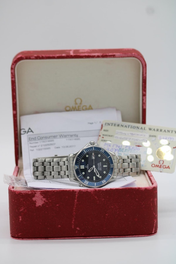 Omega Seamaster 300 25418000 - image 16