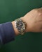 Zenith De Luca 89.0310.400 El Primero Blue Dial Steel & 14K Gold - image 16