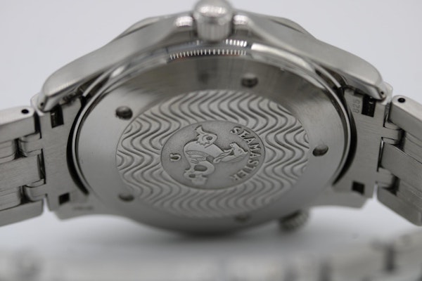 Rolex Explorer Polar Dial 16570 - image 13