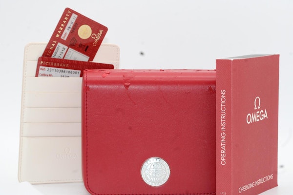 Omega Seamaster Aqua Terra 231.10.39.61.06.001 - image 3