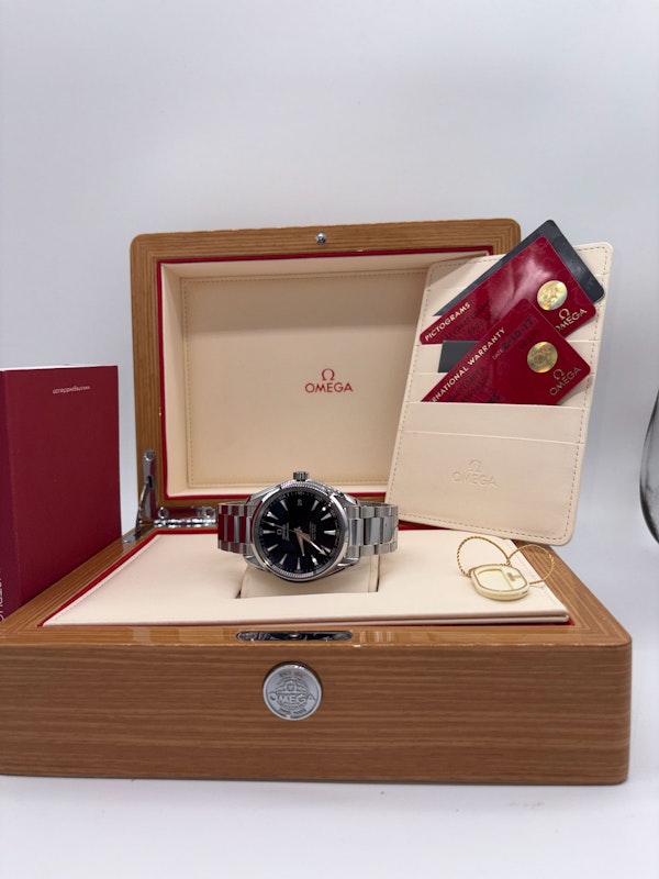 Omega Seamaster Aqua Terra 231.10.42.21.01.003 - image 8