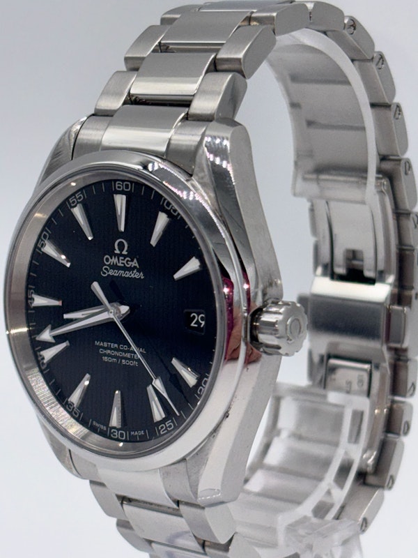 Omega Seamaster Aqua Terra 231.10.42.21.01.003 - image 5