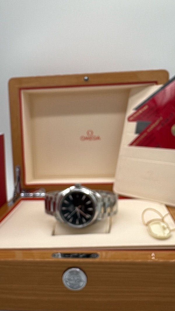 Omega Seamaster Aqua Terra 231.10.42.21.01.003 - image 2