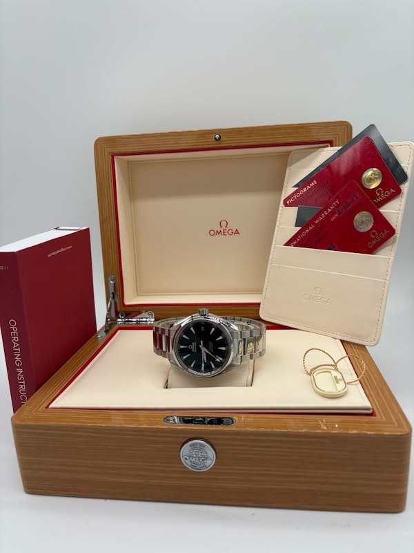 Omega Seamaster Aqua Terra 231.10.42.21.01.003 - image 9