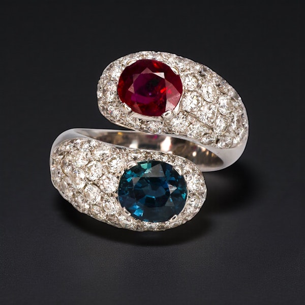 Red, Blue, and Brilliant! - image 2