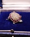 Downstairs at Grays: A very fine Ruby & Diamond Tortoise Brooch set in High Carat Yellow Gold, English, Circa 1905 - image 2