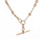 9ct Trombone Link Albert Chain - Spectrum Antiques - image 3