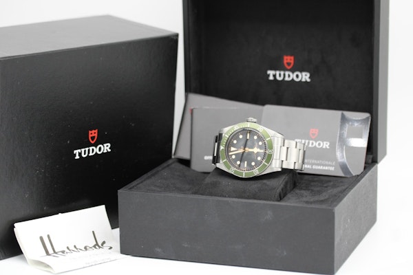 Tudor Black Bay Harrods 79230G - image 10