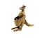 Mother Kangaroo with Articulated Roo in pouch - Spectrum Antiques - image 2