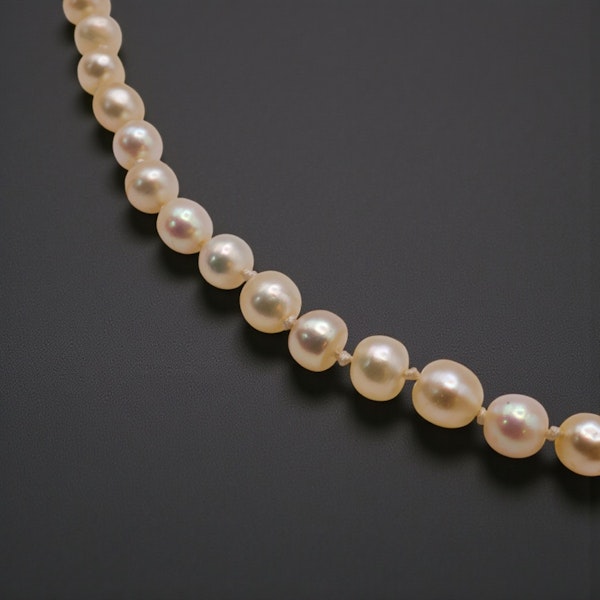 Lovely Antique Natural Pearl With Burmese Ruby Diamond Clasp at Deco&Vintage Ltd - image 5