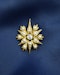Downstairs at Grays: A fine 15ct Yellow Gold (tested) Seed Pearl & Diamond Starburst Pendant Circa 1880 - image 1