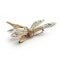 Modern Plique à Jour Enamel, Sapphire, Diamond, Ruby and Gold Dragonfly Brooch - image 5