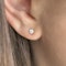 0.25ct Diamond Stud Earrings - Saddingtons Jewellery Stand 375 - image 1