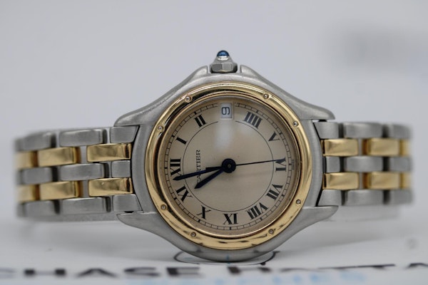Cartier Panthere Cougar 119000 R - image 7
