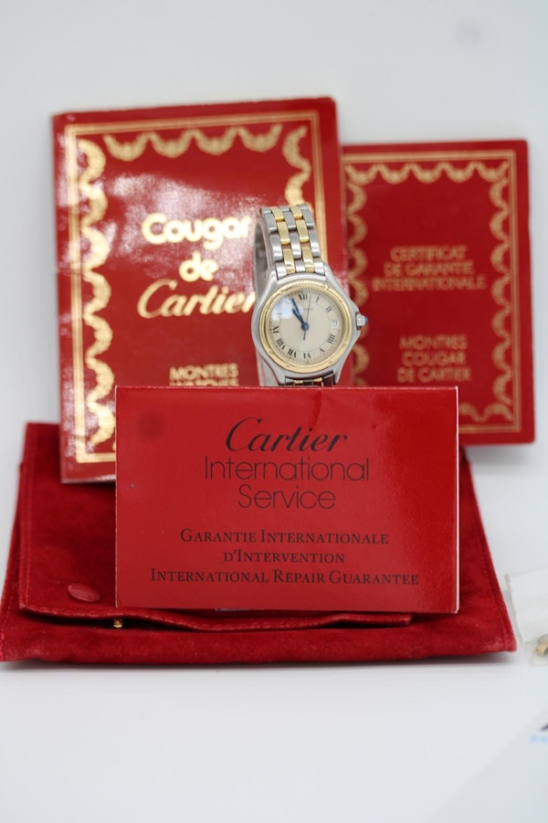 Cartier Panthere Cougar 119000 R - image 3