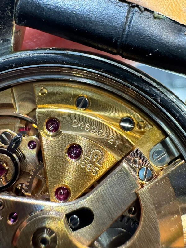 Omega Seamaster Automatic 166.009 - image 2