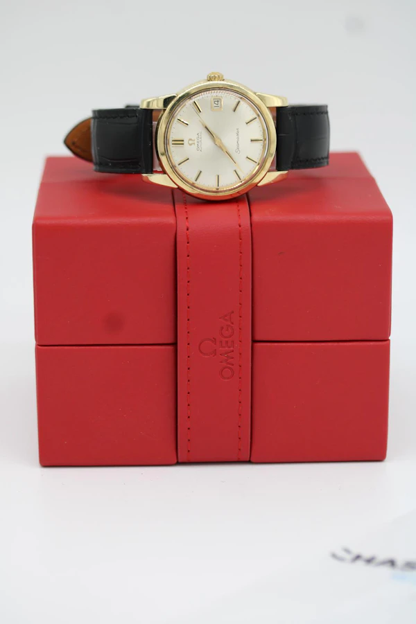 Omega Seamaster Automatic 166.009 - image 10