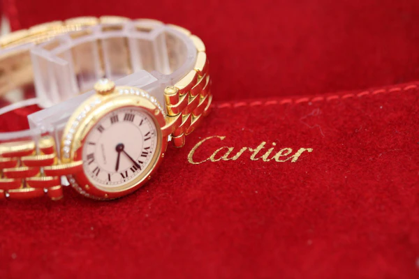 Cartier Panthere 6692 18k - image 3